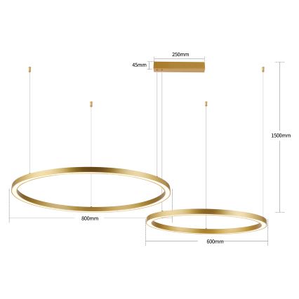 Brilagi - LED-dimmbare Pendelleuchte an Kabel PORTOFINO LED/98W/230V 3000-6000K goldfarben + Fernbedienung