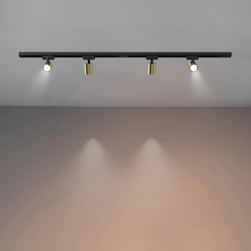 Brilagi - Schienen-Spot HUSKY 4xGU10/10W/230V schwarz/gold