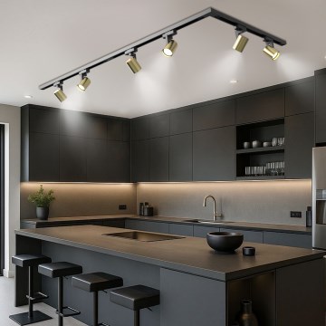 Brilagi - Schienenstrahler im HUSKY-Schienensystem 6xGU10/10W/230V schwarz/gold