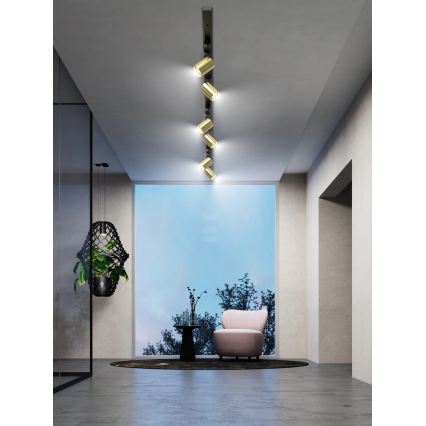 Brilagi - Schienenstrahler im HUSKY-Schienensystem 6xGU10/10W/230V schwarz/gold