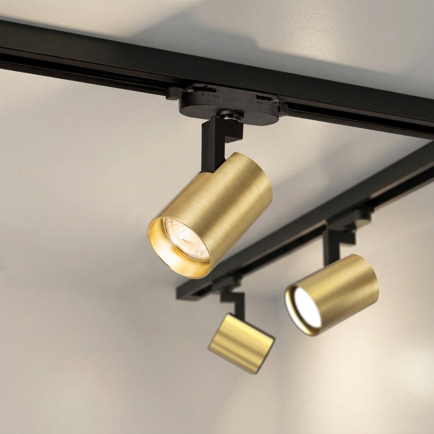 Brilagi - Spotleuchte für Schienensystem HUSKY 4xGU10/10W/230V schwarz/gold