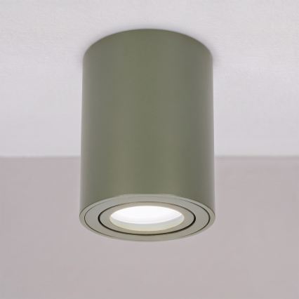 BRILAGI - Spotleuchte MIA 1xGU10/30W/230V 100x80 mm dunkelgrün