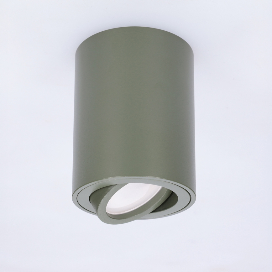 BRILAGI - Spotleuchte MIA 1xGU10/30W/230V 100x80 mm dunkelgrün
