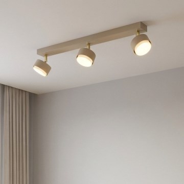 Brilagi - Spotleuchte MONO 3xGX53/12W/230V, Beige