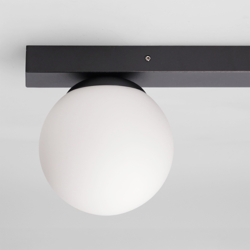 Brilagi - Spotleuchte SELE BALL 1xGU10/30W/230V + 1xG9/10W schwarz