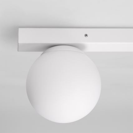 Brilagi - Spotleuchte SELE BALL 1xGU10/30W/230V + 1xG9/10W weiß