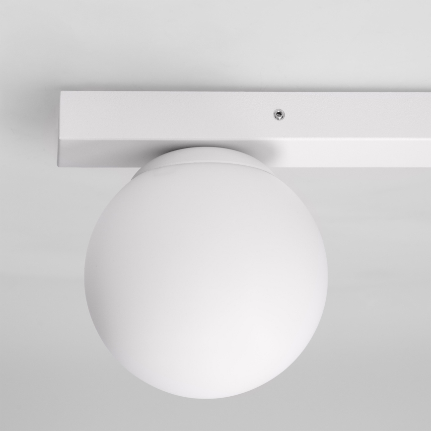 Brilagi - Spotleuchte SELE BALL 1xGU10/30W/230V + 1xG9/10W weiß