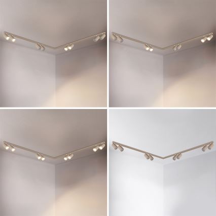 Brilagi - Spotleuchte SELE LONG 8xGU10/30W/230V beige