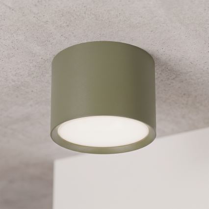 BRILAGI - Spotleuchte SMOOTH 1xGX53/15W/230V 60x82 mm dunkelgrün