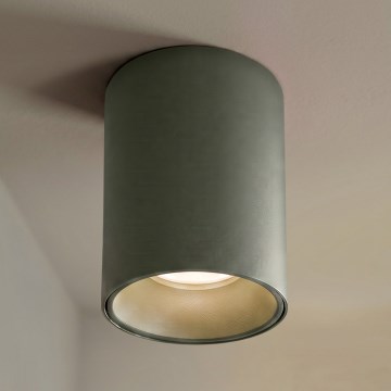 BRILAGI - Spotleuchte TRINE 1xGU10/30W/230V dunkelgrün