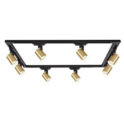 BRILAGI - Spotleuchte im Schienensystem HUSKY 8xGU10/10W/230V 300 cm schwarz/gold
