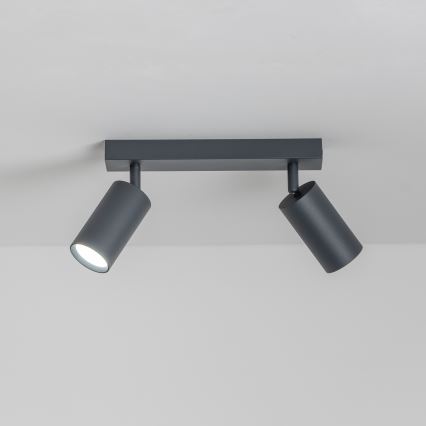 Brilagi - Strahler SELE 2xGU10/30W/230V anthrazit