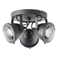 Brilliant - Deckenspot CARMEN 3xGU10/5W/230V schwarz