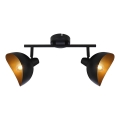 Brilliant - Deckenstrahler LAYTON 2xE14/25W/230V schwarz/gold