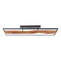 Brilliant - Dimmbare LED-Deckenleuchte CHAUMONT LED/48W/230V Gummibaum