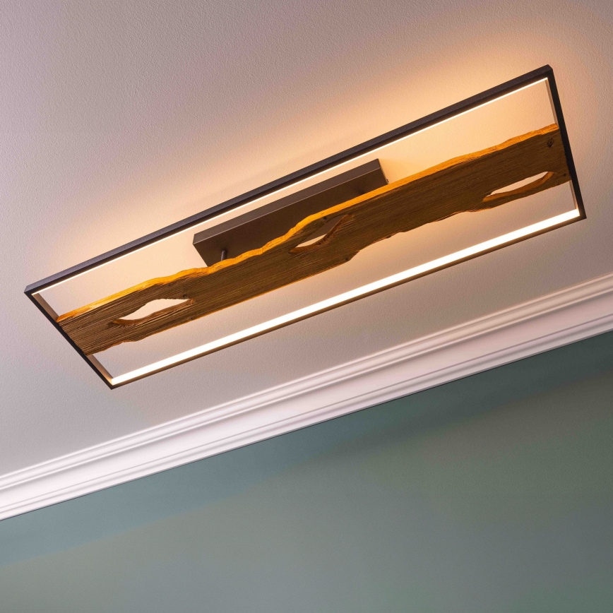 Brilliant - Dimmbare LED-Deckenleuchte CHAUMONT LED/48W/230V Gummibaum