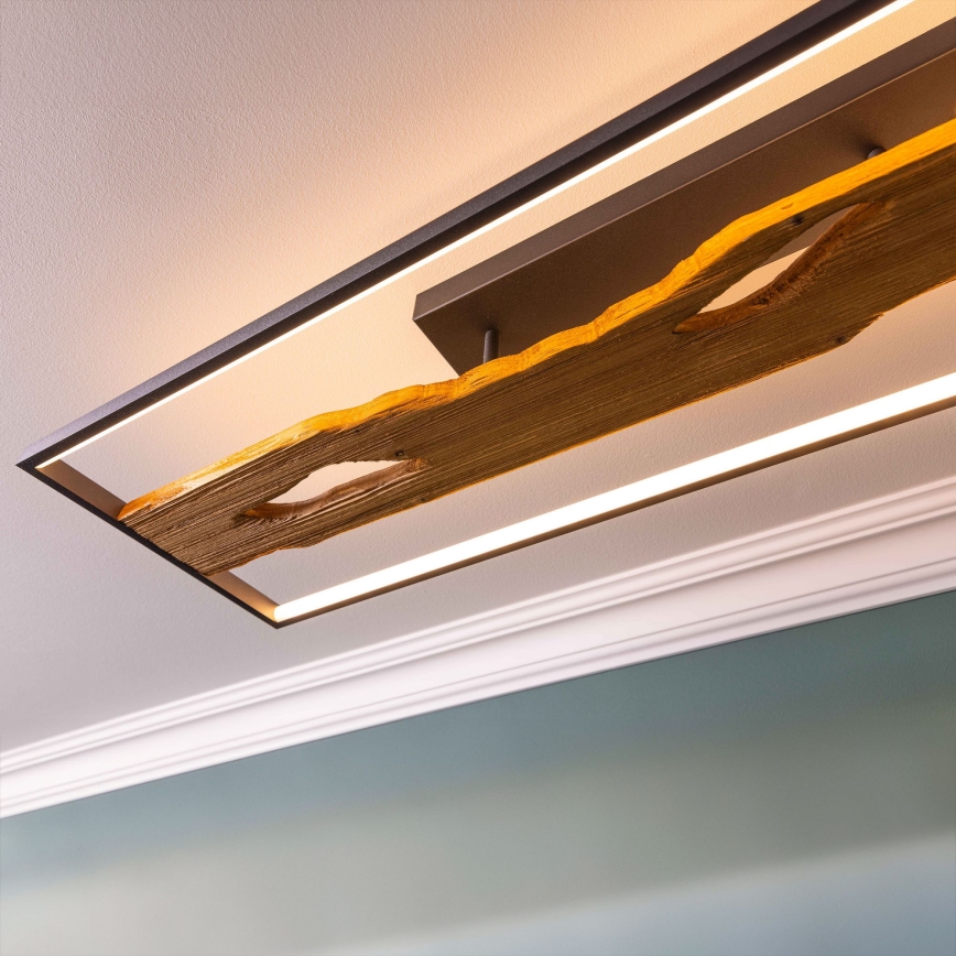 Brilliant - Dimmbare LED-Deckenleuchte CHAUMONT LED/48W/230V Gummibaum