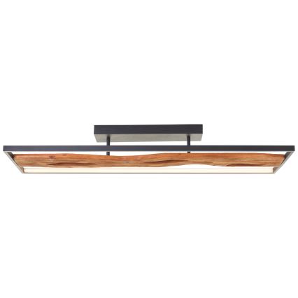 Brilliant - Dimmbare LED-Deckenleuchte CHAUMONT LED/48W/230V Gummibaum