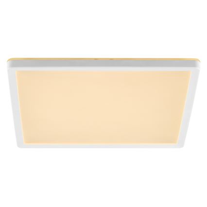 Brilliant - LED dimmbare Deckenleuchte LUMARO LED/18W/230V 3000-6500K 29,3x29,3 cm weiß + Fernbedienung