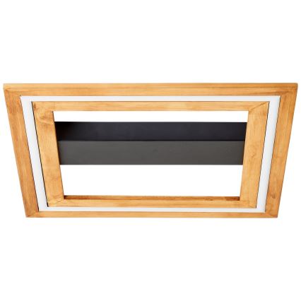 Brilliant - Dimmbare LED-Deckenleuchte RHEA LED/24W/230V 3000K 45x45 cm