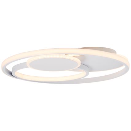 Brilliant - Dimmbare LED-Deckenleuchte RUNDA LED/50W/230V 3000-6500K weiß + Fernbedienung