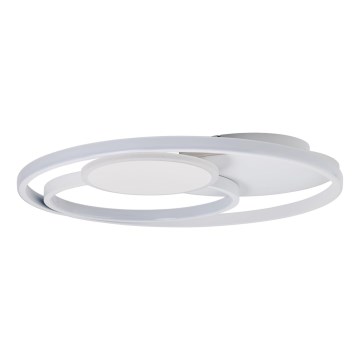 Brilliant - Dimmbare LED-Deckenleuchte RUNDA LED/50W/230V 3000-6500K weiß + Fernbedienung