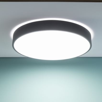 Brilliant - LED-dimmbare Deckenleuchte SLIMLINE LED/60 W/230 V 3000–6500 K Ø 49 cm schwarz + Fernbedienung