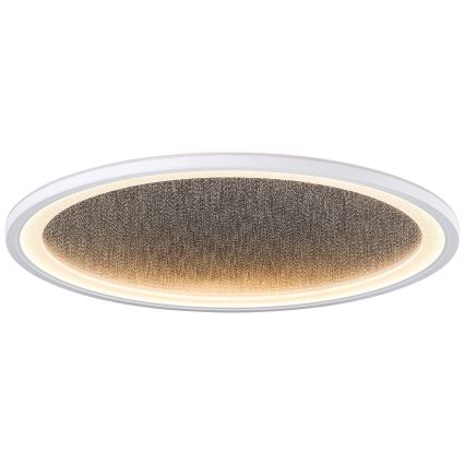 Brilliant - Dimmbare LED-Deckenleuchte TANIDA LED/31W/230V 3000-6500K + Fernbedienung