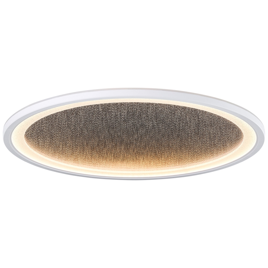Brilliant - Dimmbare LED-Deckenleuchte TANIDA LED/31W/230V 3000-6500K + Fernbedienung
