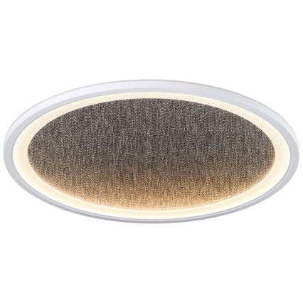 Brilliant - Dimmbare LED-Deckenleuchte TANIDA LED/31W/230V 3000-6500K + Fernbedienung