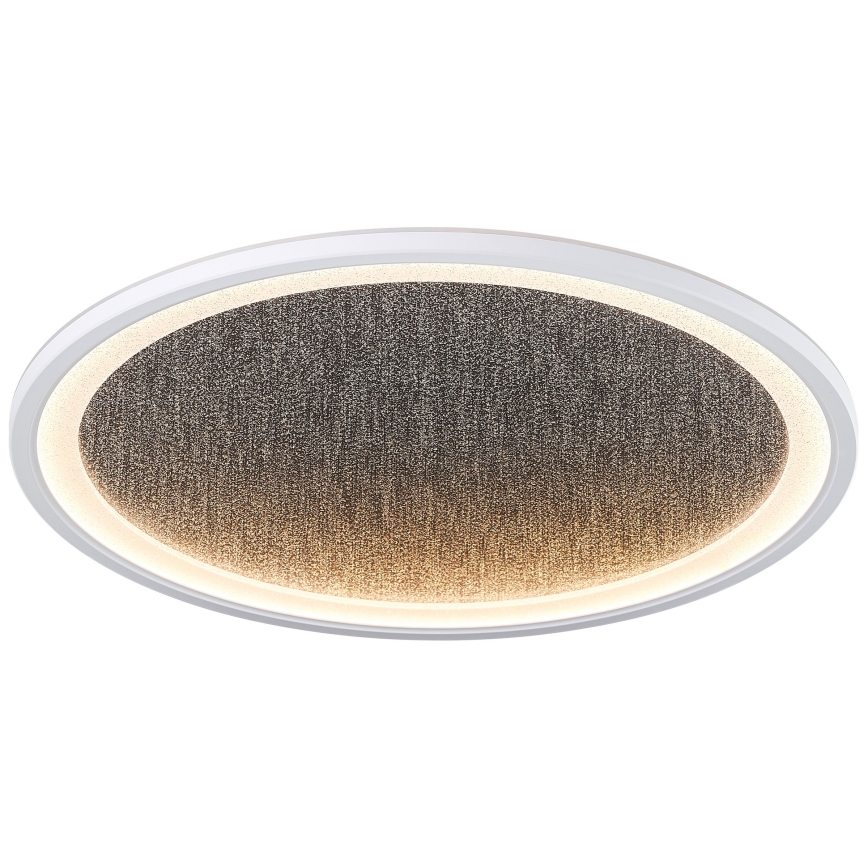 Brilliant - Dimmbare LED-Deckenleuchte TANIDA LED/31W/230V 3000-6500K + Fernbedienung