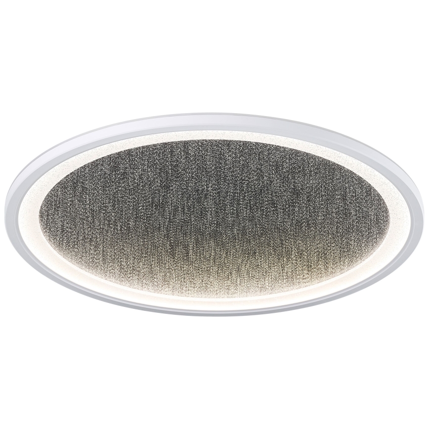 Brilliant - Dimmbare LED-Deckenleuchte TANIDA LED/31W/230V 3000-6500K + Fernbedienung