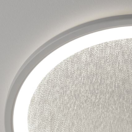 Brilliant - Dimmbare LED-Deckenleuchte TANIDA LED/31W/230V 3000-6500K + Fernbedienung