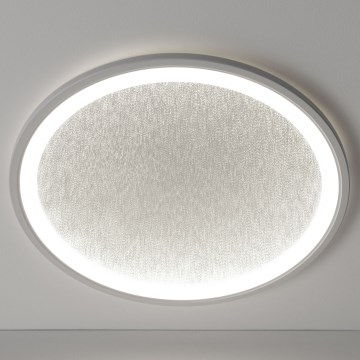 Brilliant - Dimmbare LED-Deckenleuchte TANIDA LED/31W/230V 3000-6500K + Fernbedienung