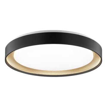 Brilliant - dimmbare LED-Deckenleuchte WALDO LED/36 W/230 V 3000–6500 K Ø 48,5 cm schwarz/gold + Fernbedienung