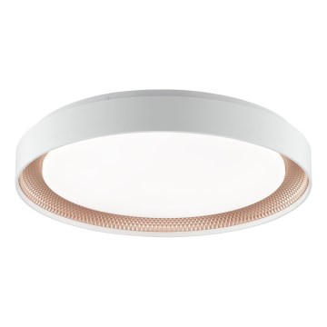Brilliant - Dimmbare LED-Deckenleuchte WALDO LED/36W/230V 3000-6500K Ø 48,5 cm weiß/roségold + Fernbedienung