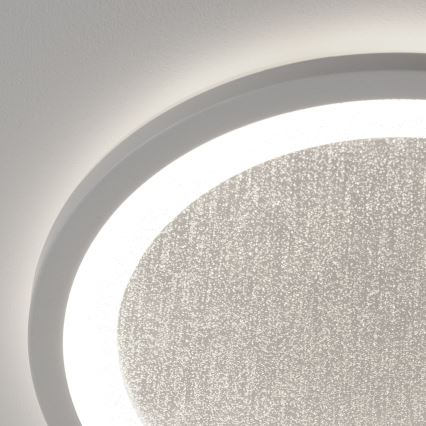 Brilliant - Dimmbare LED-RGBW-Deckenleuchte TANIDA LED/22W/230V 3000-6500K+ Fernbedienung