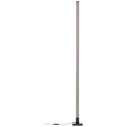Brilliant - Dimmbare Stehleuchte (LED RGBW) NEELE LED/6,5W/230V schwarz + Fernbedienung