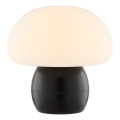 Brilliant - dimmbare, wiederaufladbare Touch-Tischleuchte DUPIS LED/2W/5V 2700K 1800 mAh schwarz
