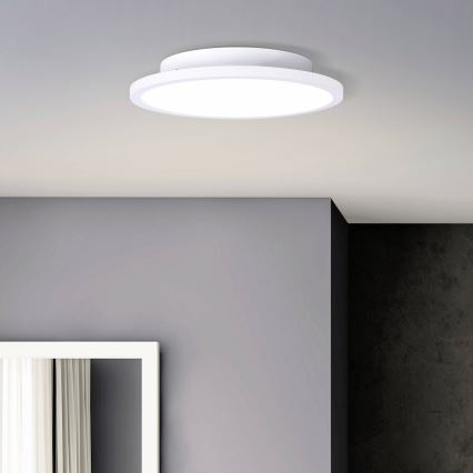 Brilliant - LED-Deckenleuchte BUFFI LED/13W/230V d 25 cm 2700K