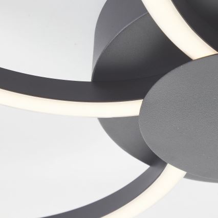 Brilliant - Dimmbare LED-Deckenleuchte FICO LED/32W/230V 3000-6500K d 65 cm schwarz + Fernbedienung