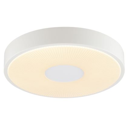 Brilliant - LED Deckenleuchte RAKIN LED/18W/230V Ø 33,5 cm weiß