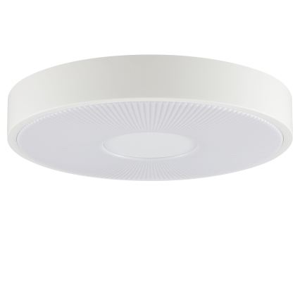 Brilliant - LED Deckenleuchte RAKIN LED/18W/230V Ø 33,5 cm weiß