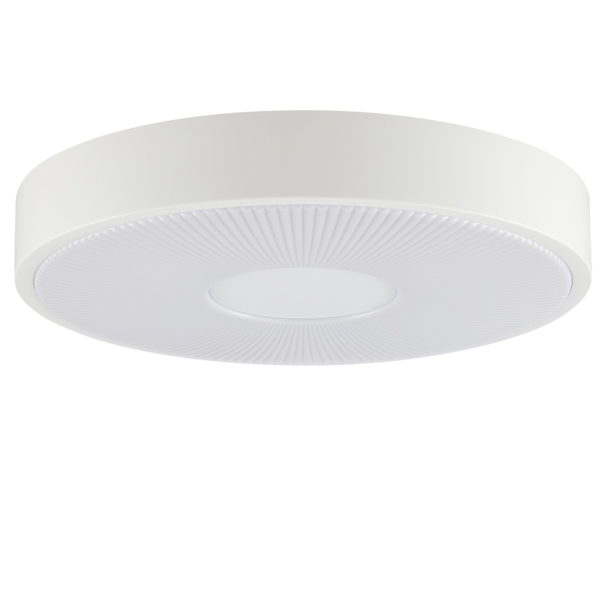 Brilliant - LED Deckenleuchte RAKIN LED/18W/230V Ø 33,5 cm weiß