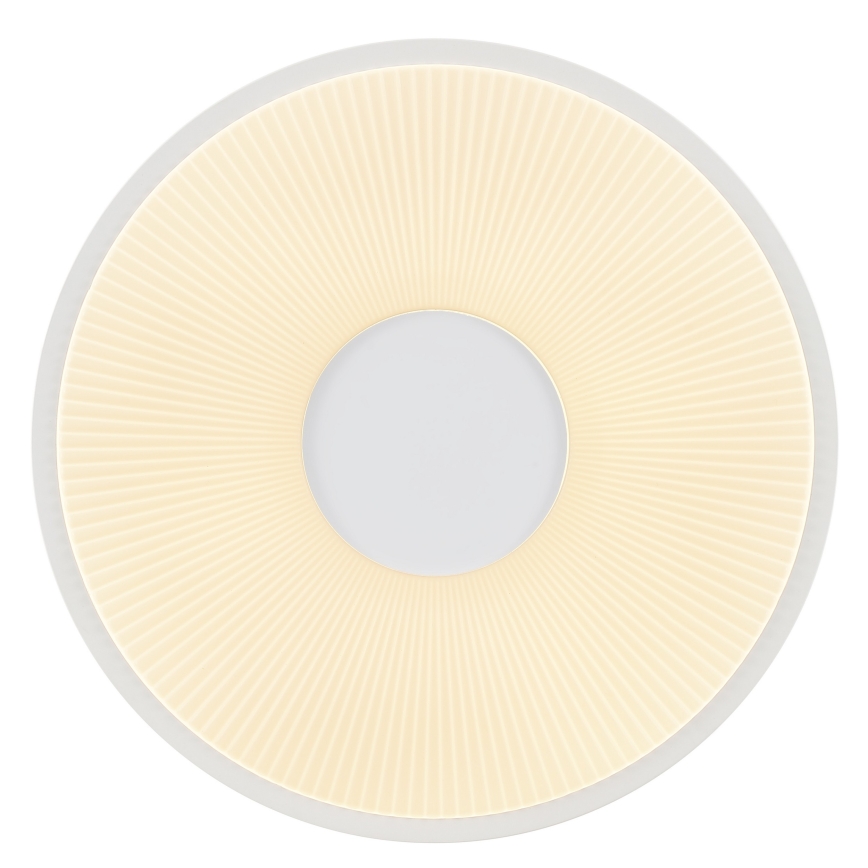 Brilliant - LED Deckenleuchte RAKIN LED/18W/230V Ø 33,5 cm weiß
