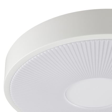 Brilliant - LED Deckenleuchte RAKIN LED/18W/230V Ø 33,5 cm weiß