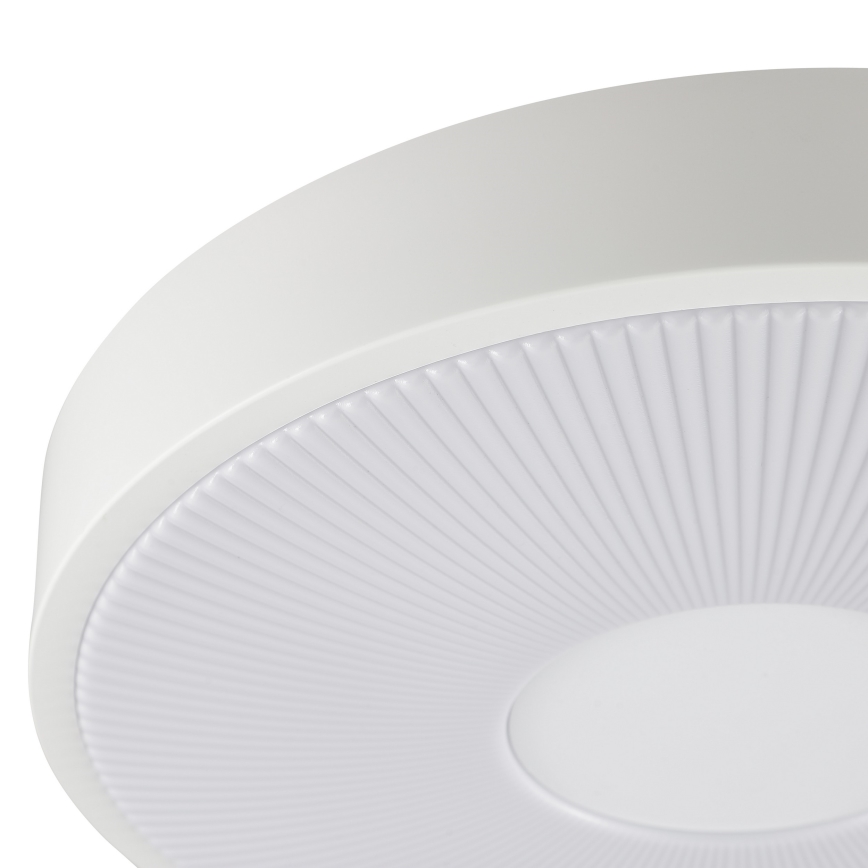 Brilliant - LED Deckenleuchte RAKIN LED/18W/230V Ø 33,5 cm weiß