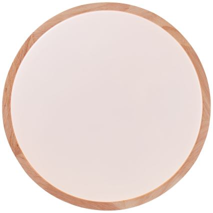 Brilliant - LED-Deckenleuchte SLIMLINE LED/14W/230V 3000/4000K Gummibaum