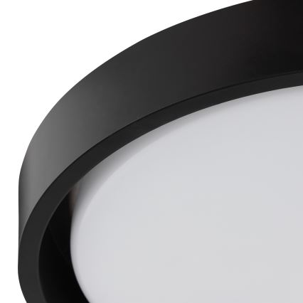 Brilliant - LED-Deckenleuchte SONORA LED/12W/230V 3000K Ø 31 cm schwarz