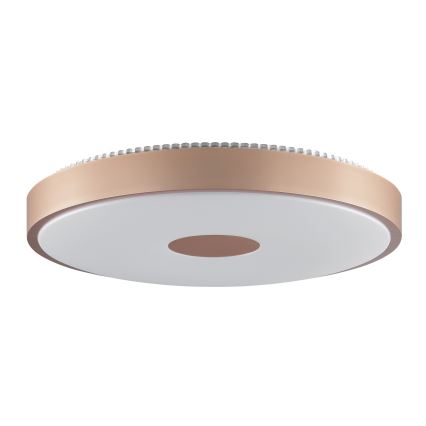 Brilliant - LED-Deckenleuchte TAVIS LED/24W/230V Ø 44,5 cm Roségold